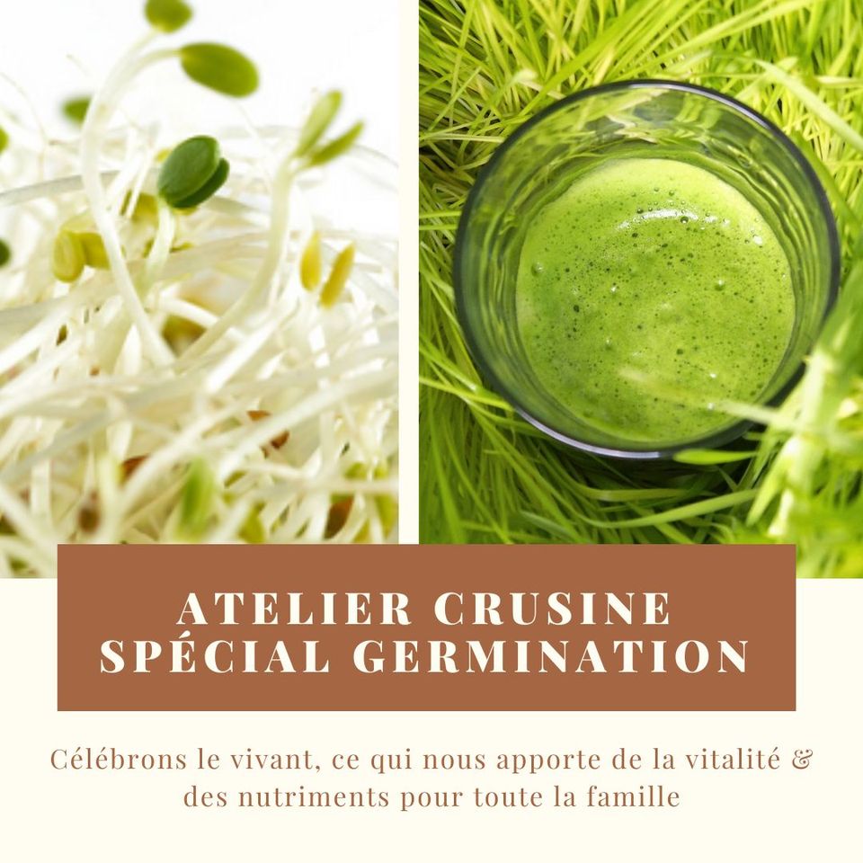 Atelier Naturo : Crusine santé, spécial "germination" et "lacto-fermenté"