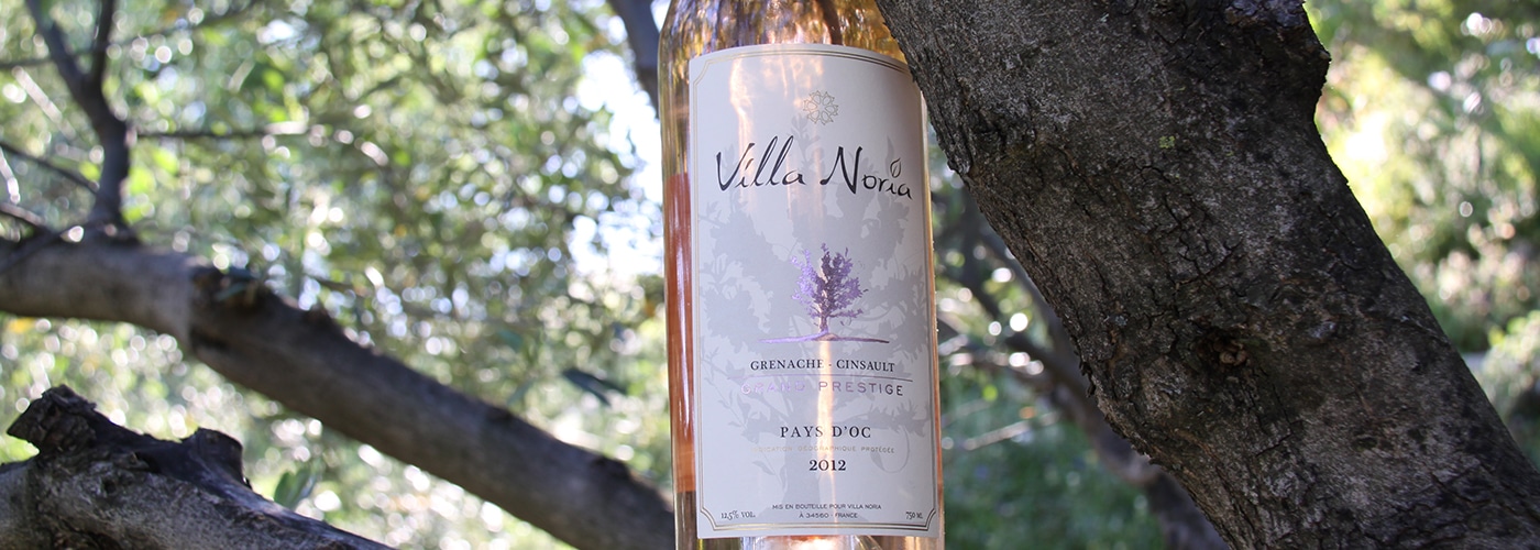 Domaine Villa Noria : grands vins bios à Montagnac (entre Meze et Pézenas)